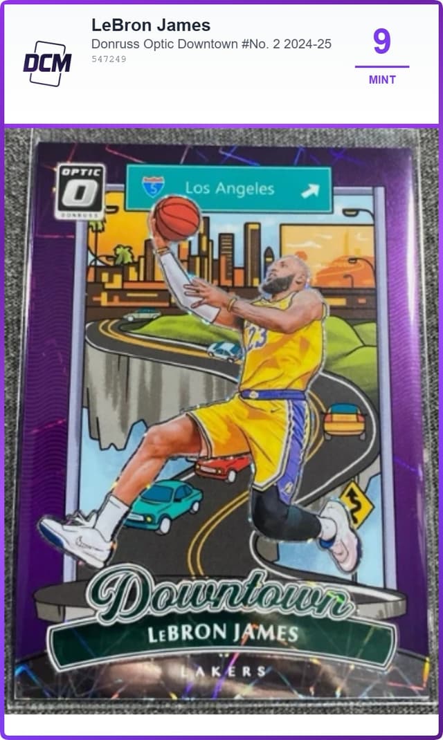 LeBron James Sports Card